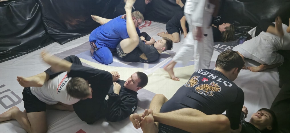 Seminarium brazylijskiego  jiu-jitsu